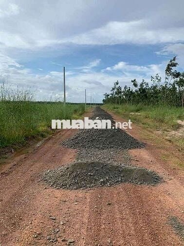 - Đất cần bán 200 m² sau khu công nghiệp chơn thành.