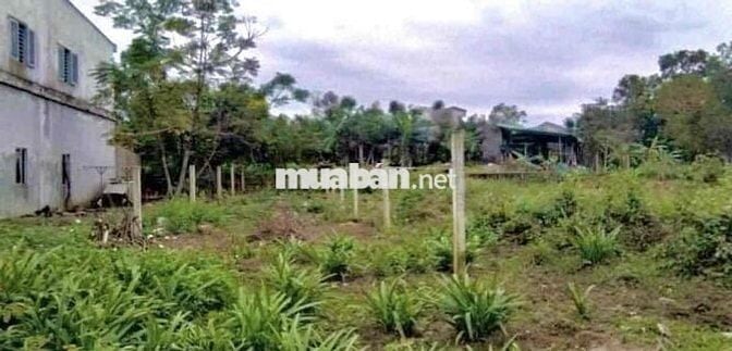 Cần bán gấp lô Thôn Hiền Phước - Hoà Vang KCN
