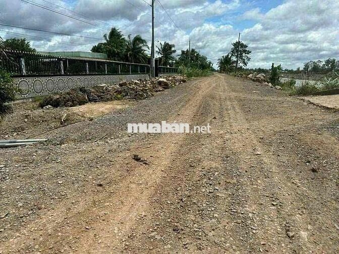 1000m Đất Vườn Chỉ 450tr Siêu Rẽ ở Bến Lức