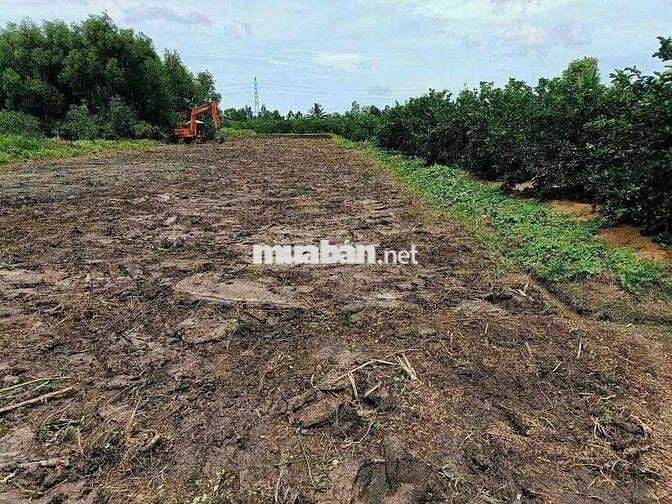 1000m Đất Vườn Chỉ 450tr Siêu Rẽ ở Bến Lức