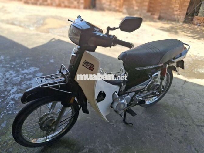 Dim hàn quốc  bstp cà vẹt đầy đủ .