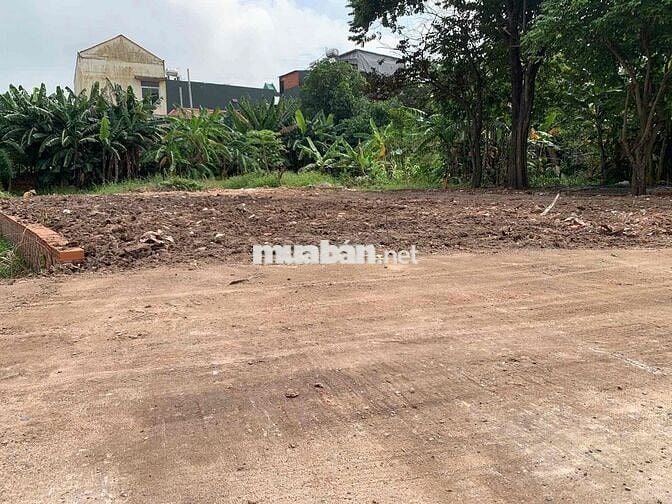 Đất 1/ trân thị bốc đông thạnh ( ttt cũ ) ,