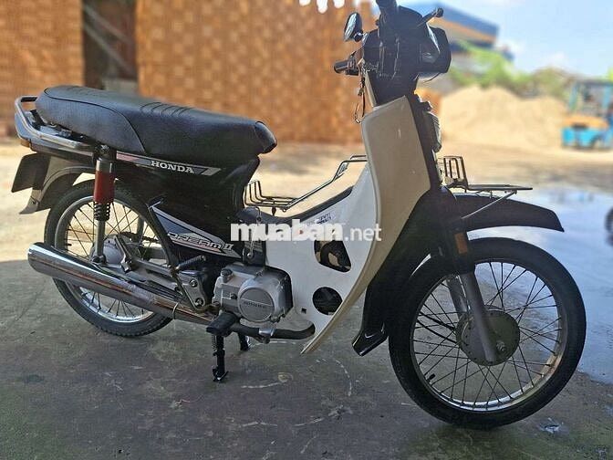 Dim hàn quốc  bstp cà vẹt đầy đủ .
