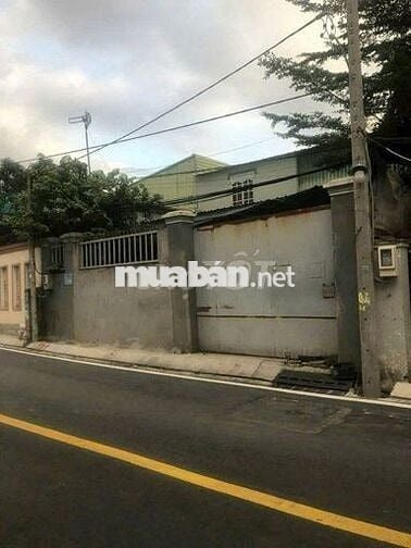 BÁN NHÀ XƯỞNG TẠI Mặt Tiền Đường Lê Thị Lơ, Xã Tân Hiệp, Hóc Môn, HCM