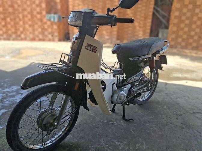 Dim hàn quốc  bstp cà vẹt đầy đủ .