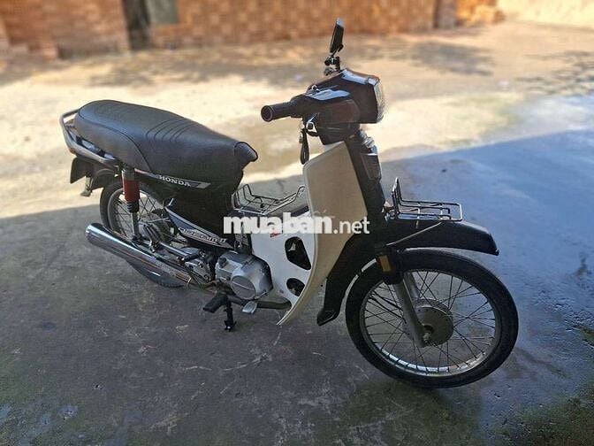 Dim hàn quốc  bstp cà vẹt đầy đủ .