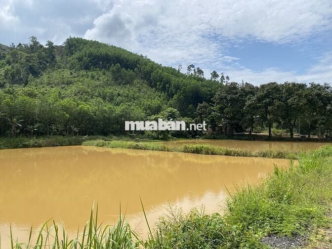 Đất rẻ có thổ cư-Bám đường bê tông