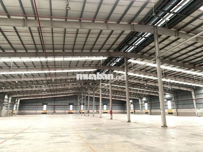 CHO THUÊ KHO XƯỞNG 2000M2 THẠNH LỢI LONG AN GIÁ RẺ 50K/M2 ĐƯỜNG CONT