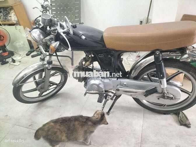 Honda 67 cực đẹp