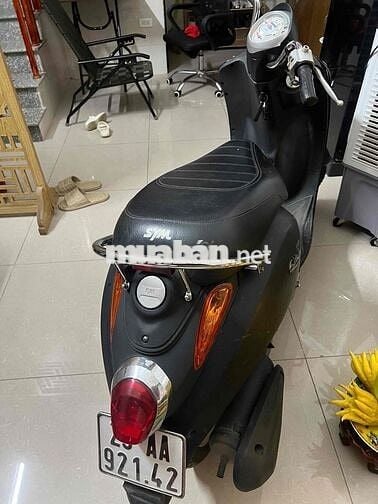 Xe 50cc elite