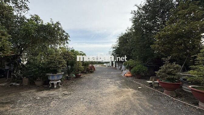 BÁN LÔ ĐẤT LÀM KHO XƯỞNG 4000M2- TRẦN VĂN MƯỜI-GIÁ ĐẦU TƯ