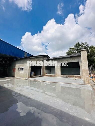 Cho thuê kho xưởng 1920 m2 đường N2 Xã Thạnh Lợi, Tỉnh Tây Ninh