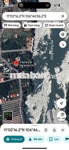 Chính chủ cần bán vườn bưởi tại Tân Uyên View sông Đồng Nai