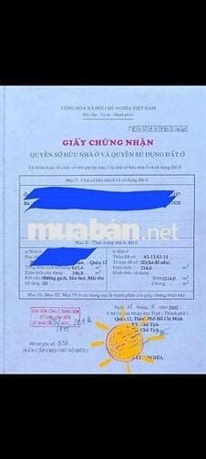 💥Cần Bán Gấp nhà 1trệt 3lầu 6pn 6wc Sổ Hoàn công