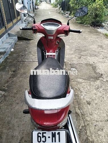 Xe zi omộc toàn tập chính chủ biển 65
