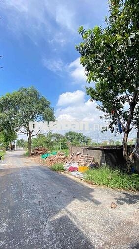 CC BÁN GẤP MẢNH ĐẤT ĐẸP 200m2 SÁT VIN OCEAN PARK 2 - TÂN QUANG,VĂN LÂM