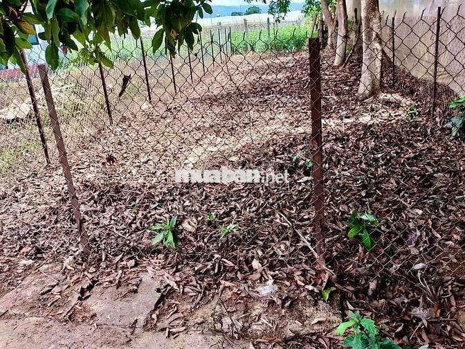 Chính chủ bán 100m full thổ cư mặt tiền 4.5m trung tâm Ka Đô