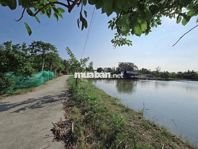 NHỈNH 5 TỶ SỞ HỮU 3,5 CÔNG ĐẤT