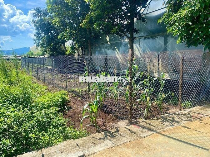 Chính chủ bán 100m full thổ cư mặt tiền 4.5m trung tâm Ka Đô