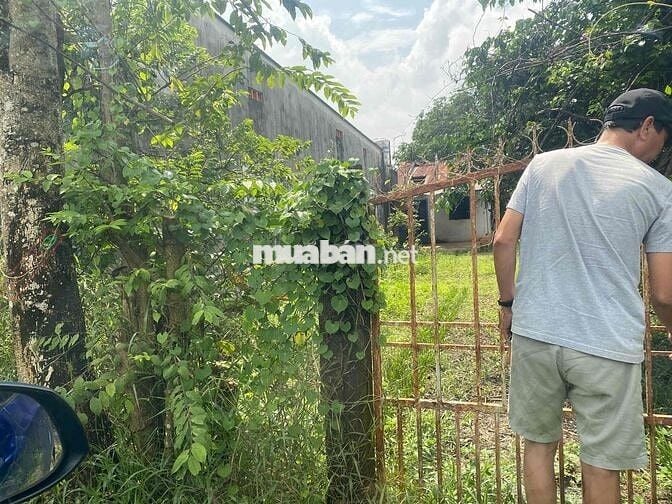 bán đất phạm văn cội có thổ cư