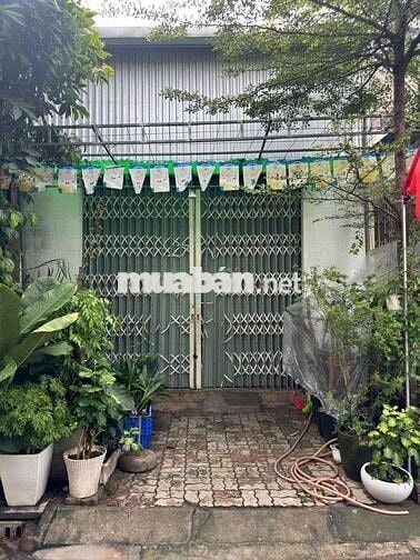 Bán lô đất tặng nhà cấp 4 Bàu Năng 6 Hoà Minh Liên Chiểu