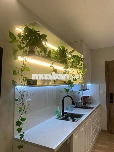 STUDIO Landmark Onsen Ecopark - Căn hộ dòng tiền xịn đẹp
