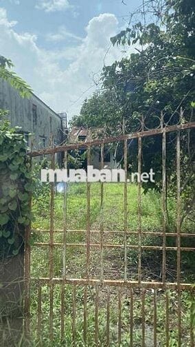 bán đất phạm văn cội có thổ cư