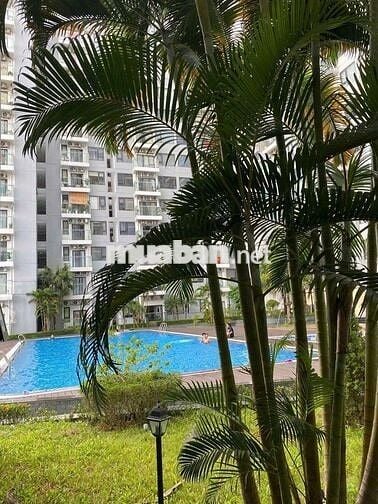 CHO THUÊ CĂN HỘ CAO CẤP NERA GARDEN - TP HUẾ