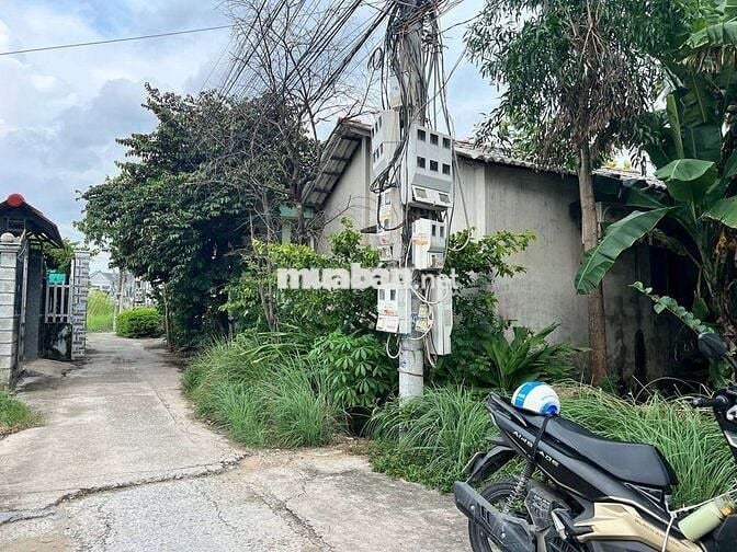 tôi là chủ cần sang gấp lô đất Tân Kim. Giá ngộp
