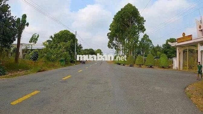 Bán đất mặt tiền đường Tỉnh 865, huyện Tân Phước, Tiền Giang.