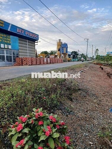 Bán đất mặt tiền đường Tỉnh 865, huyện Tân Phước, Tiền Giang.
