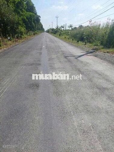 Chính chủ bán gấp đất mặt tiền tỉnh lộ 865, Tân Phước Tiền Giang