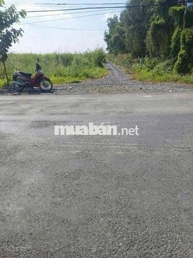 Chính chủ bán gấp đất mặt tiền tỉnh lộ 865, Tân Phước Tiền Giang