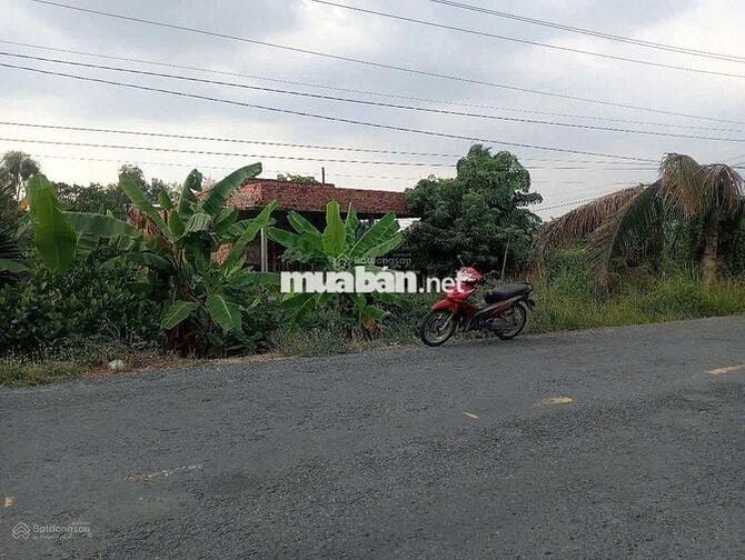 Bán đất mặt tiền đường Tỉnh 865, huyện Tân Phước, Tiền Giang.
