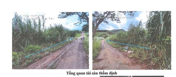 Bán đấu giá tài sản của MSB tại Đông Thanh, Lâm Hà (Nam Ban Lâm Hà) 