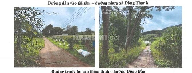 Bán đấu giá tài sản của MSB tại Đông Thanh, Lâm Hà (Nam Ban Lâm Hà) 