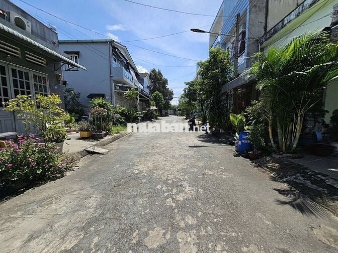 Đất khu dân cư Đại Quang, phường Tân Bình, TP Dĩ An.