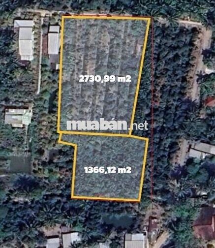 Bán lô đất trồng cây ăn quả 4100m2 đường 92CQ+5FW Cái Bè, Tiền Giang
