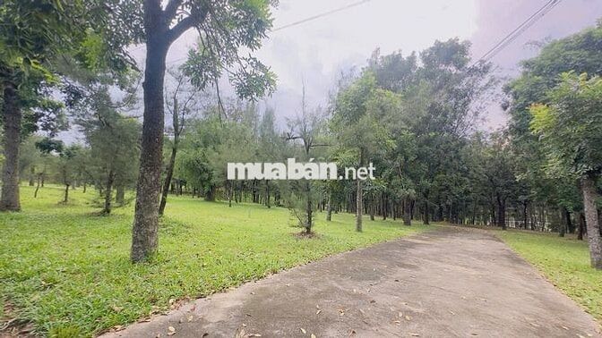 Đất mặt tiền kinh doanh khu Biconsi, phường Tân Bình, TP Dĩ An.