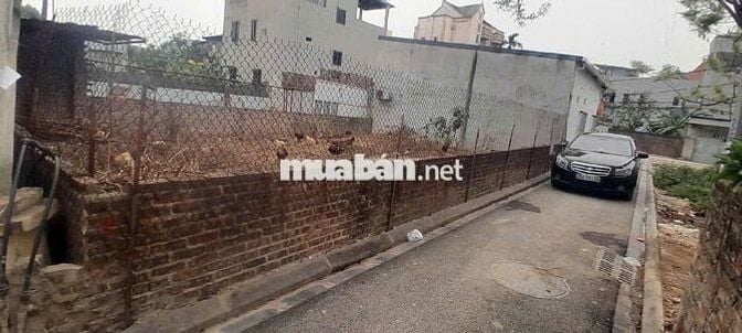 Bán Đất Võng La Đông Anh Hà Nội 120m2 7.9 tỉ