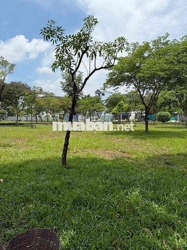 🌺🌺Cần bán đất view công viên - đường 1A KDC Nam hùng vương- An lạc- qu