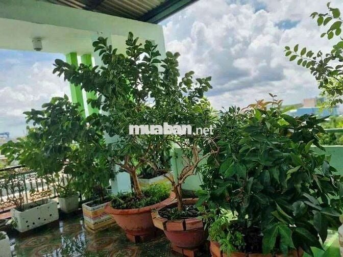 🟥🟥CHO THUÊ NHÀ NC - DT 6X18M - HẺM 2640 HUỲNH TẤN PHÁT - NHÀ BÈ