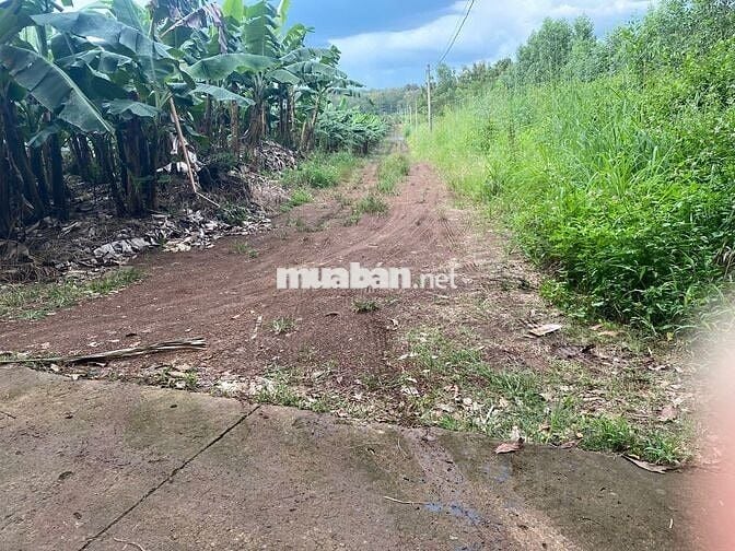 CHỈ 1,4 TỶ SỞ HỮU NGAY LÔ ĐẤT 3500M2 ĐÃ TÁCH RA 03 SỔ