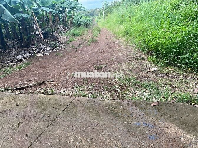 CHỈ 1,4 TỶ SỞ HỮU NGAY LÔ ĐẤT 3500M2 ĐÃ TÁCH RA 03 SỔ