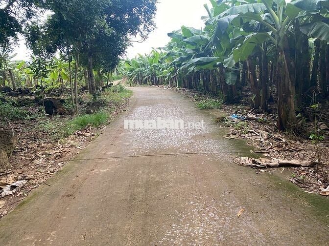 CHỈ 1,4 TỶ SỞ HỮU NGAY LÔ ĐẤT 3500M2 ĐÃ TÁCH RA 03 SỔ