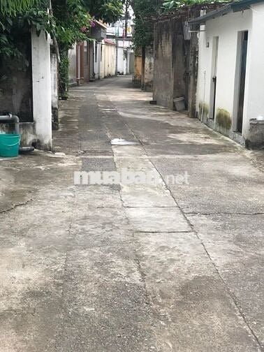 Bán gấp đất Đại Áng ô tô ngủ trong đất ,diện tích rộng giá rẻ 8.5 tỷ