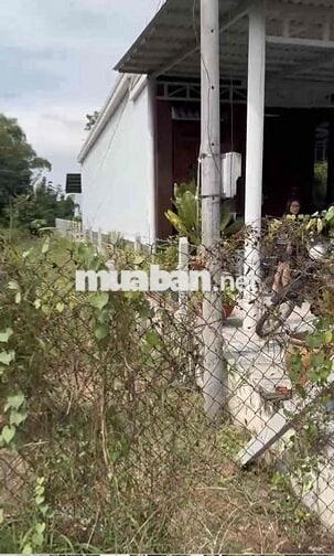 Chính chủ bán đất MT Bến Đường Cát, Tân Thạnh Đông, 560m2, 6.9 Tỷ