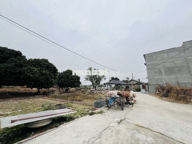 BÁN 60M ĐẤT THÁI LAI MINH TRÍ ĐƯỜNG ĐI SÂN GOLD HÀ NỘI .OTO QUA ĐẤT