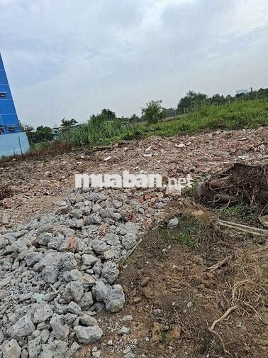 BÁN ĐẤT DT: 96M2, THỔ CƯ, SỐ HỒNG MẶT TIỀN TẠI BÌNH MỸ, CỦ CHI, HCM