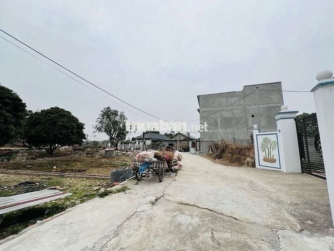 BÁN 60M ĐẤT THÁI LAI MINH TRÍ ĐƯỜNG ĐI SÂN GOLD HÀ NỘI .OTO QUA ĐẤT